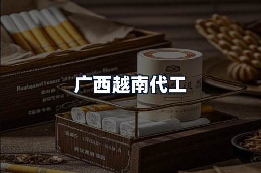 广西越南代工